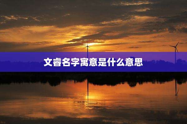 文睿名字寓意是什么意思