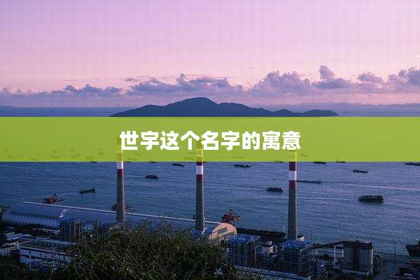 世宇这个名字的寓意