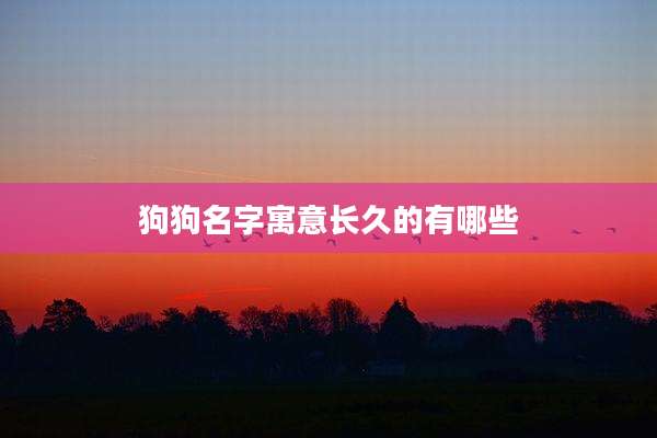 狗狗名字寓意长久的有哪些