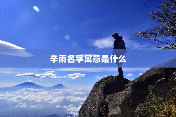 辛雨名字寓意是什么