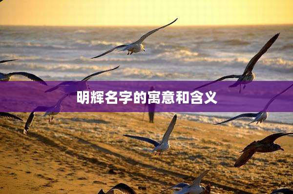 明辉名字的寓意和含义