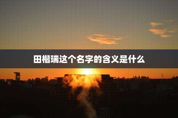 田楷瑞这个名字的含义是什么