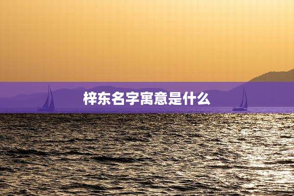梓东名字寓意是什么