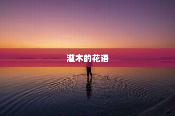 灌木的花语