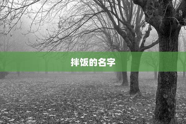 拌饭的名字