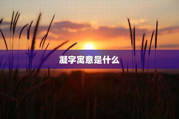 凝字寓意是什么