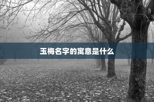 玉梅名字的寓意是什么