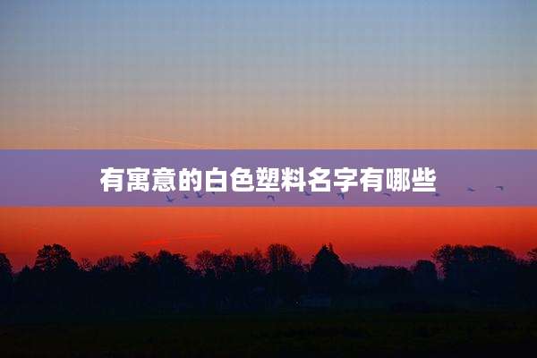 有寓意的白色塑料名字有哪些