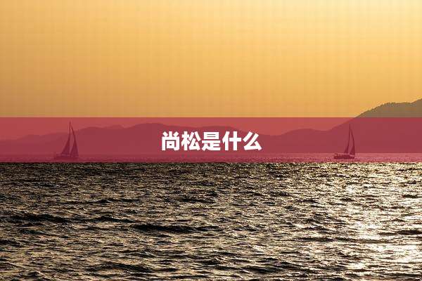 尚松是什么