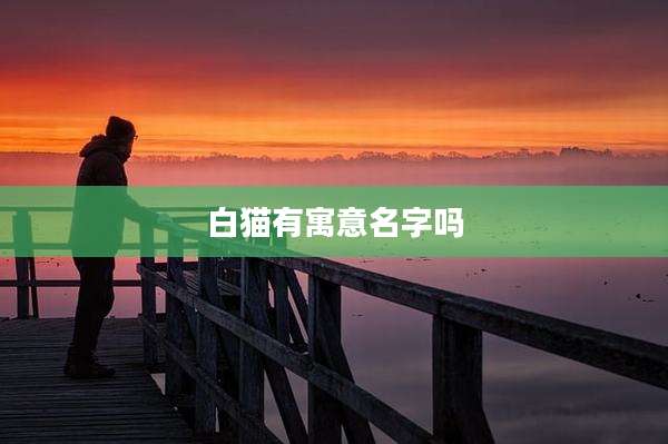 白猫有寓意名字吗