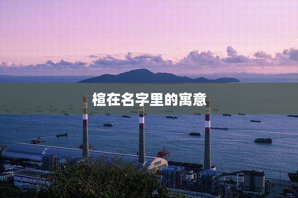 楦在名字里的寓意