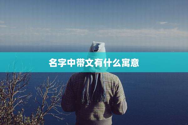 名字中带文有什么寓意