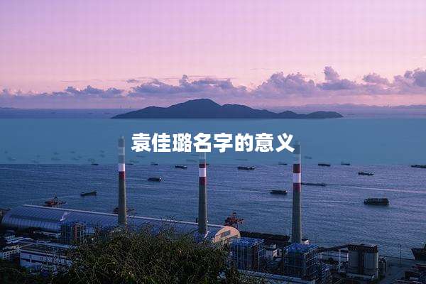 袁佳璐名字的意义