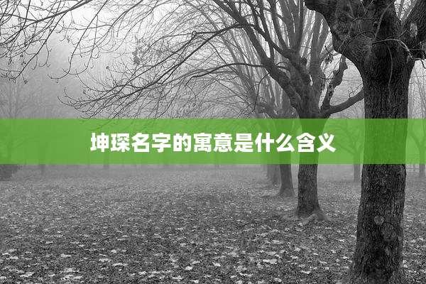 坤琛名字的寓意是什么含义