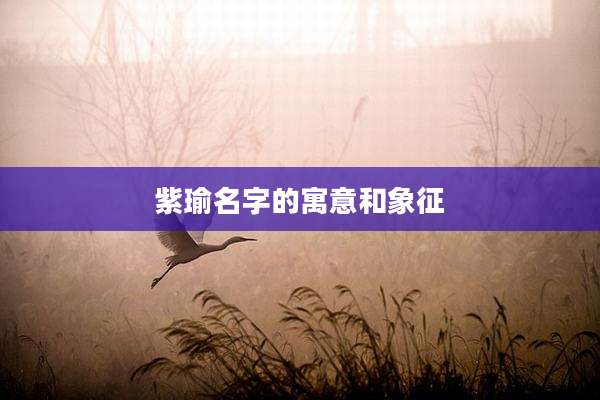 紫瑜名字的寓意和象征