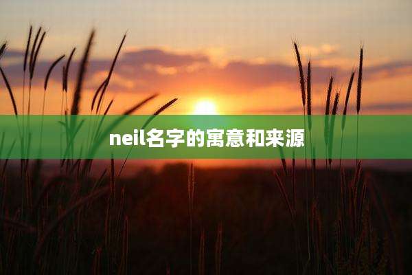 neil名字的寓意和来源