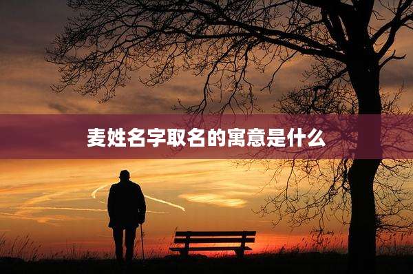 麦姓名字取名的寓意是什么
