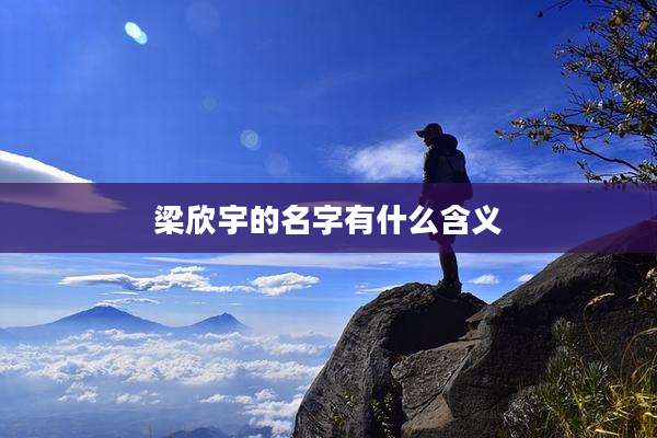 梁欣宇的名字有什么含义