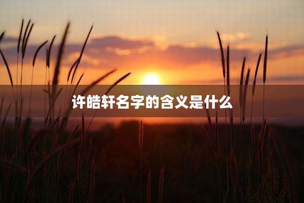 许皓轩名字的含义是什么