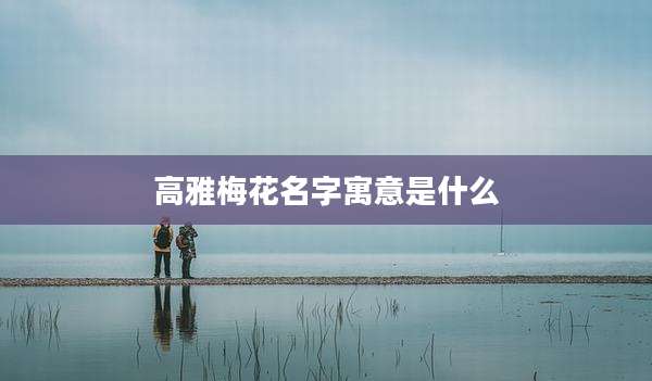 高雅梅花名字寓意是什么
