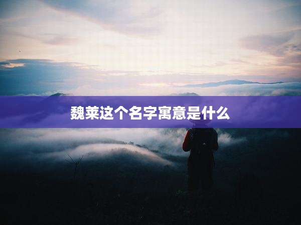 魏莱这个名字寓意是什么
