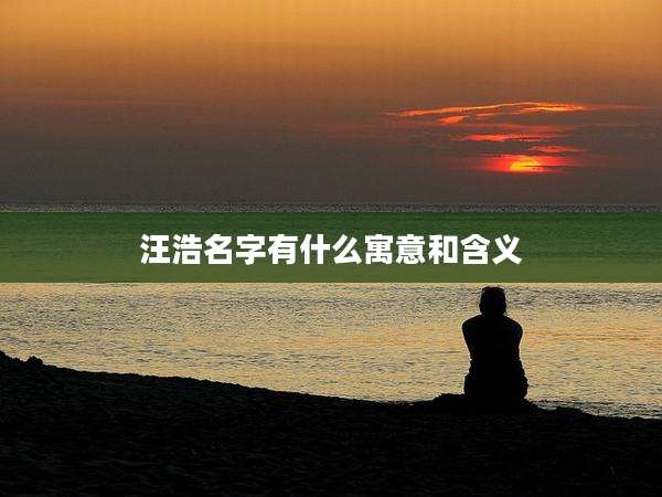 汪浩名字有什么寓意和含义