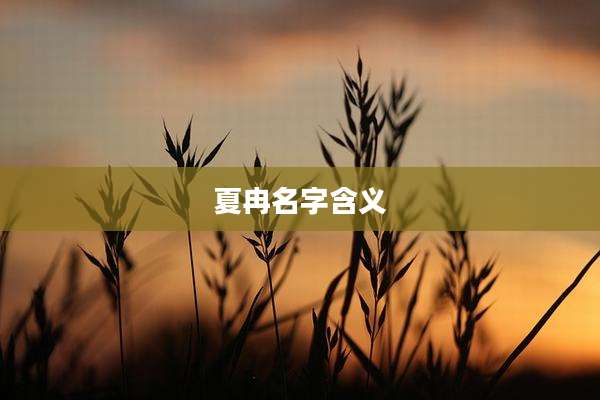 夏冉名字含义