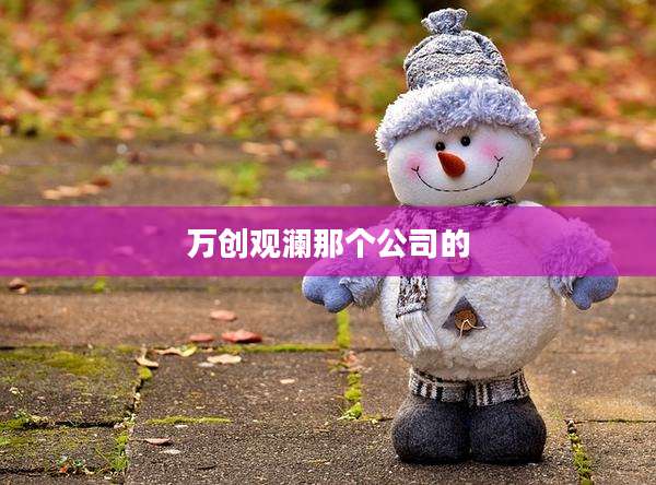 万创观澜那个公司的