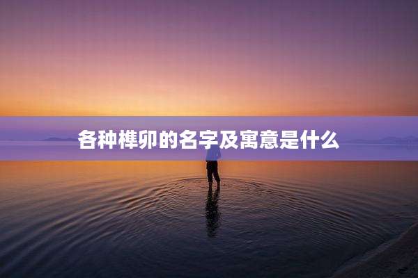 各种榫卯的名字及寓意是什么