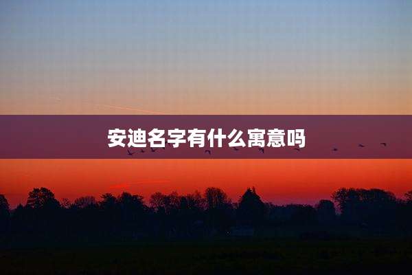 安迪名字有什么寓意吗