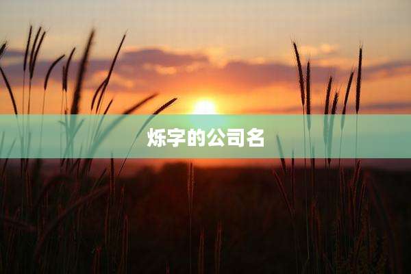 烁字的公司名