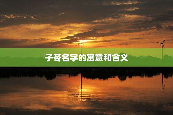 子苓名字的寓意和含义