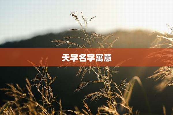天字名字寓意