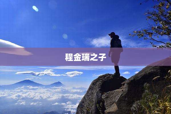 程金瑞之子