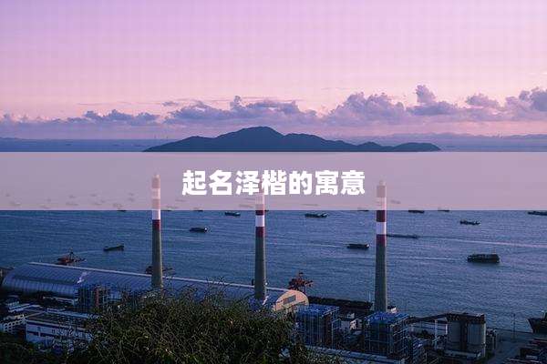 起名泽楷的寓意