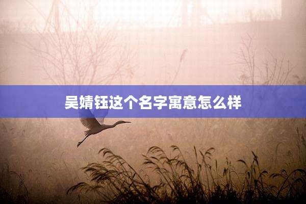 吴婧钰这个名字寓意怎么样