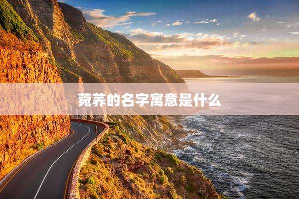 菀荞的名字寓意是什么