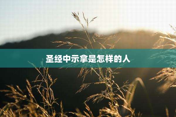 圣经中示拿是怎样的人