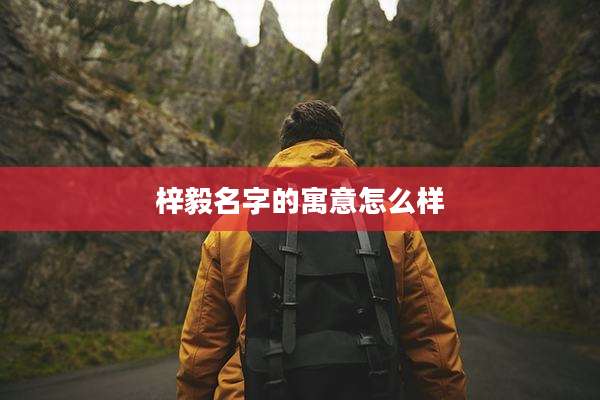 梓毅名字的寓意怎么样