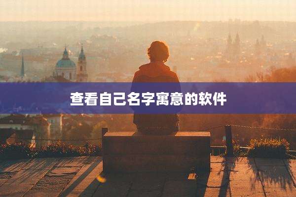查看自己名字寓意的软件