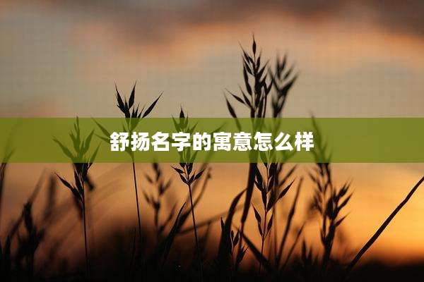 舒扬名字的寓意怎么样