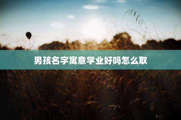 男孩名字寓意学业好吗怎么取