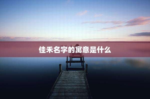 佳禾名字的寓意是什么