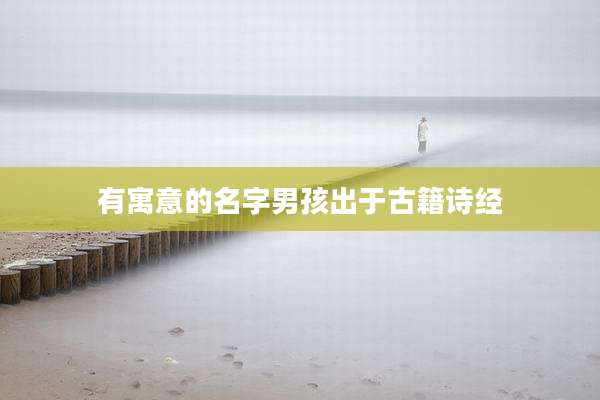 有寓意的名字男孩出于古籍诗经