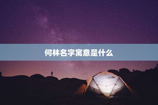 何林名字寓意是什么