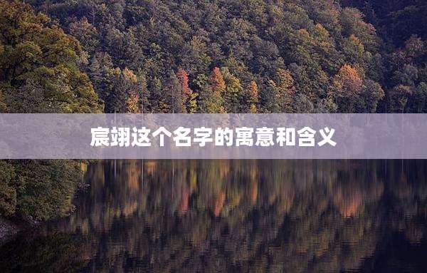 宸翊这个名字的寓意和含义