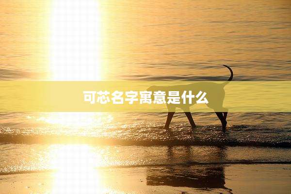 可芯名字寓意是什么
