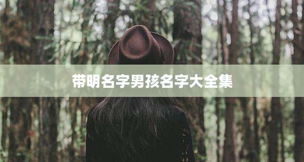 带明名字男孩名字大全集