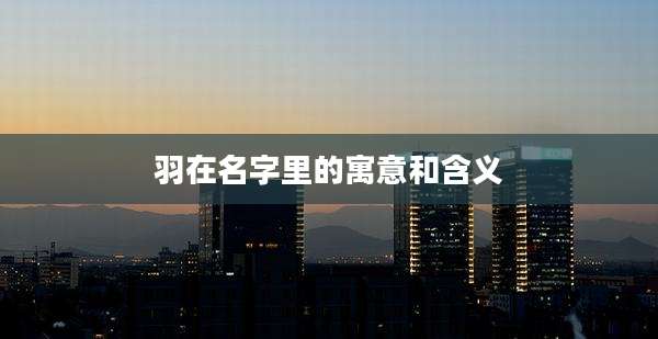 羽在名字里的寓意和含义