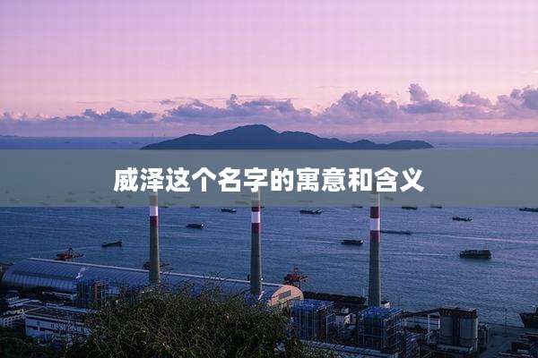 威泽这个名字的寓意和含义